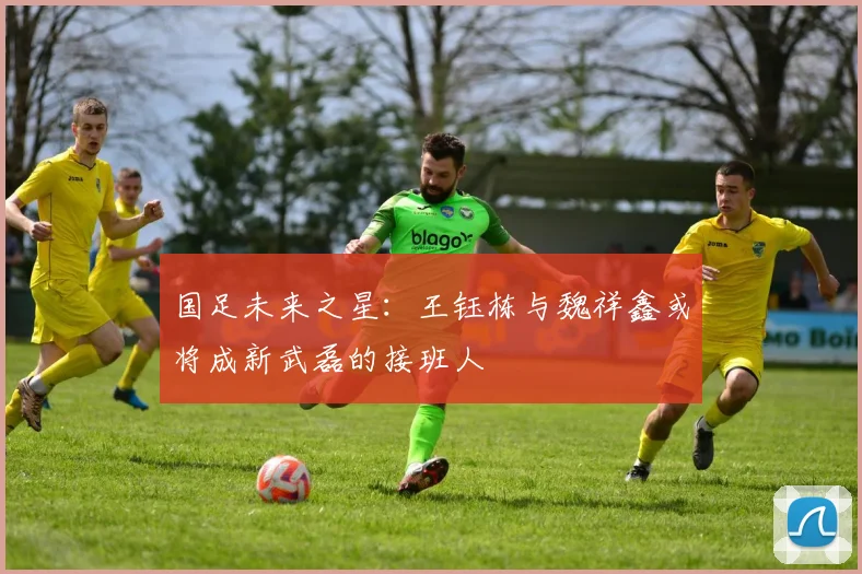国足未来之星：王钰栋与魏祥鑫或将成新武磊的接班人