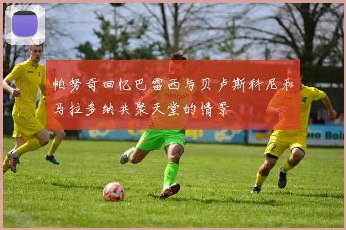 帕努奇回忆巴雷西与贝卢斯科尼和马拉多纳共聚天堂的情景